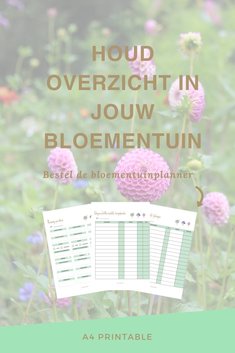 Bloemenplanner A4 printable